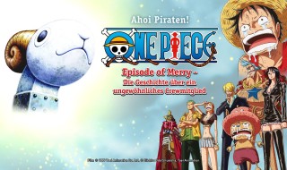 One Piece: Merry wann, auf welchem ​​Kanal?