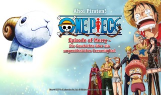 One Piece: Merry wann, auf welchem ​​Kanal?